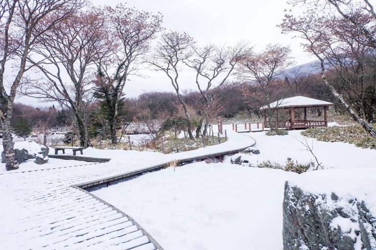 8218034D 5468 4E9F 80B6 70548C674E22 1200x800 1