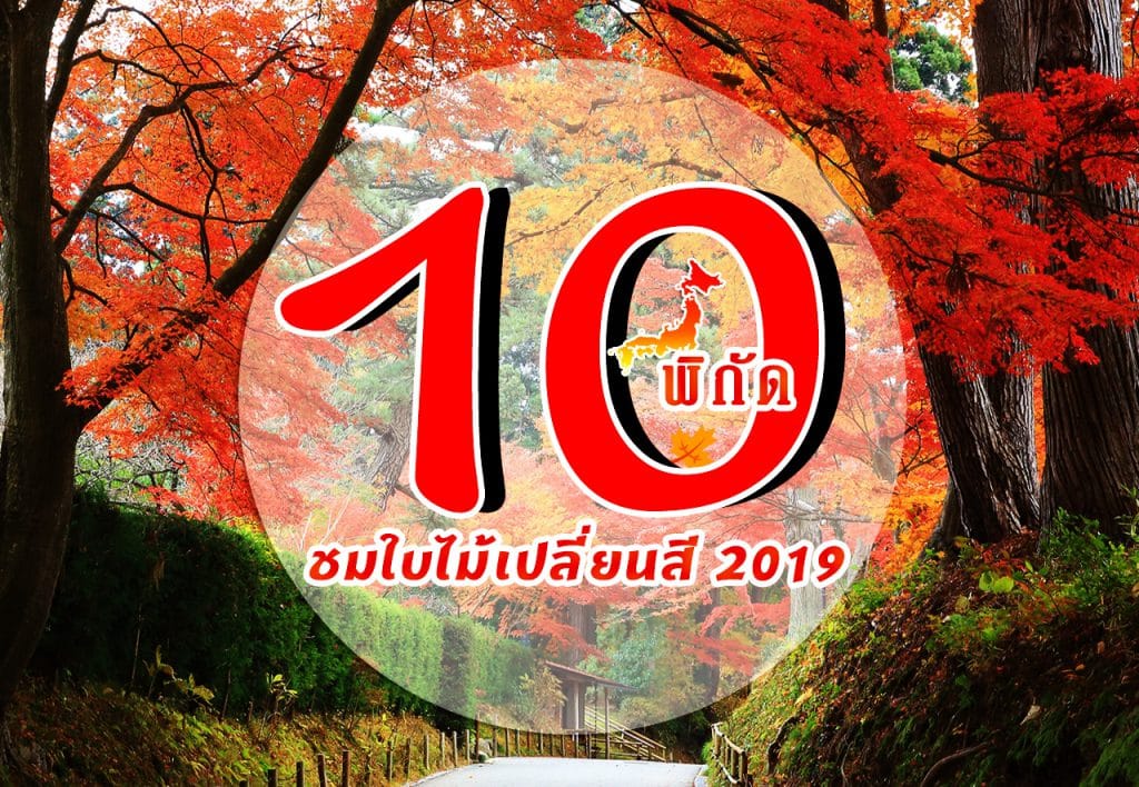 ปก10พิกัดชมใบไม้เปลี่ยนสี 2019