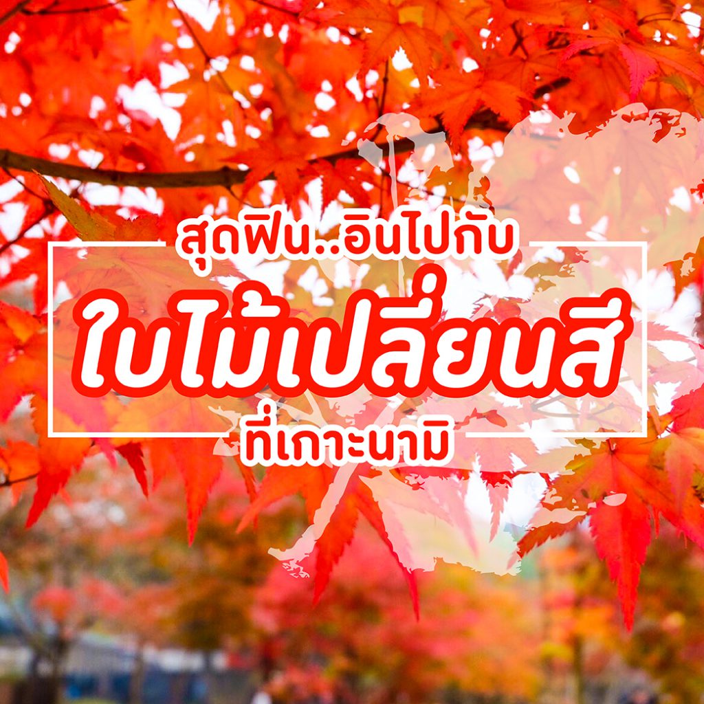 S 19791911 01 1 Resize